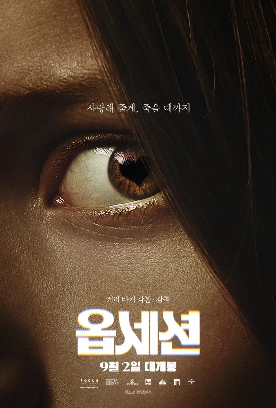 도라에몽으로 요약하는 옵세션 스토리
