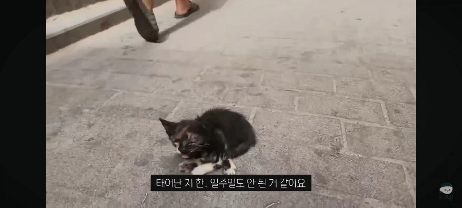 전혀 예상 못한 모로코 사기 수법 - 이미지 6