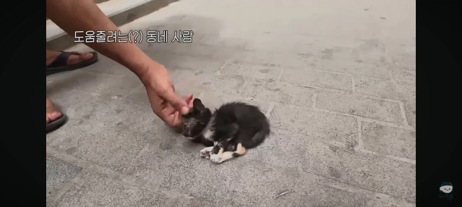 전혀 예상 못한 모로코 사기 수법 - 이미지 7