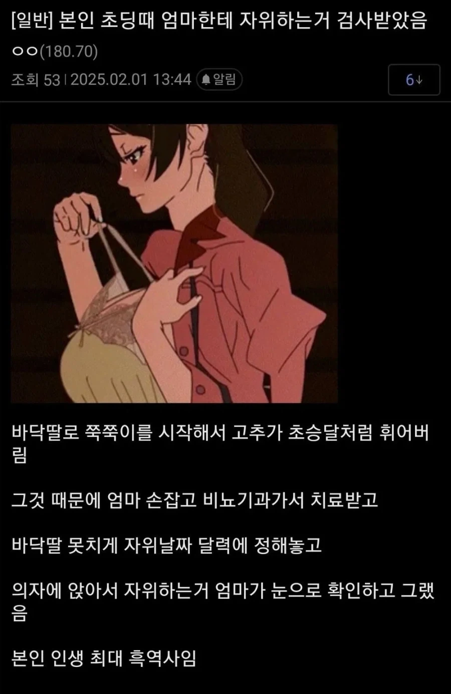 잘못된 자위를 한 디씨인의 최후