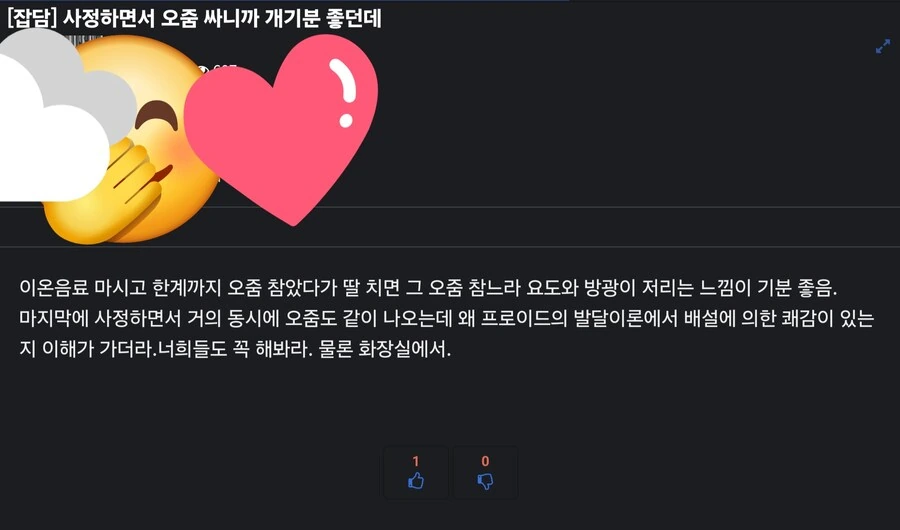 새로운 자위에 눈을 뜬 디시인