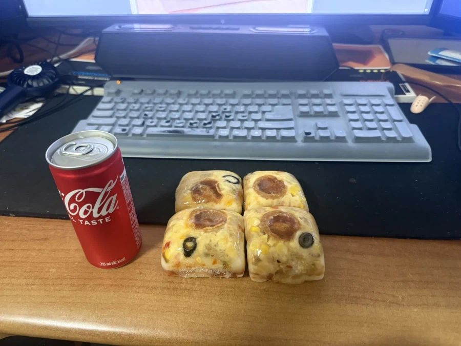 피자설기 식후평