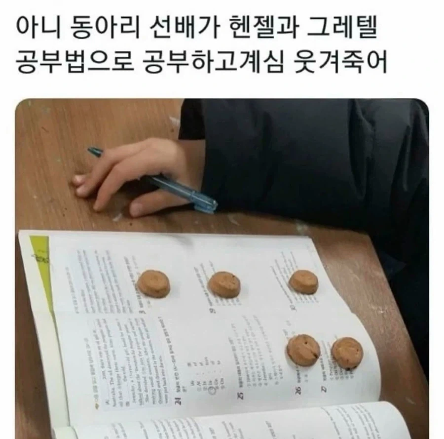 헨젤과 그레텔 공부법