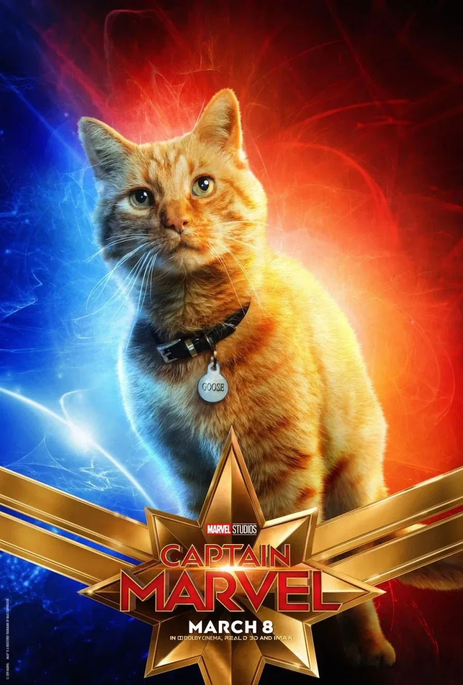 MCU) 퓨리가 정체가 들어나기 전까지 구스를 평범한 고양이로 안 이유