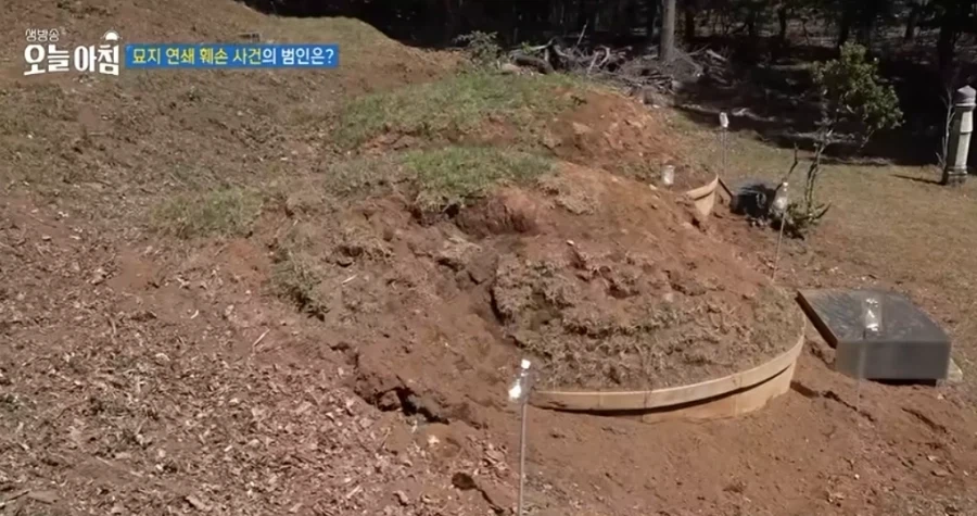 이야 진짜 한국이라서 안죽었네 범죄자