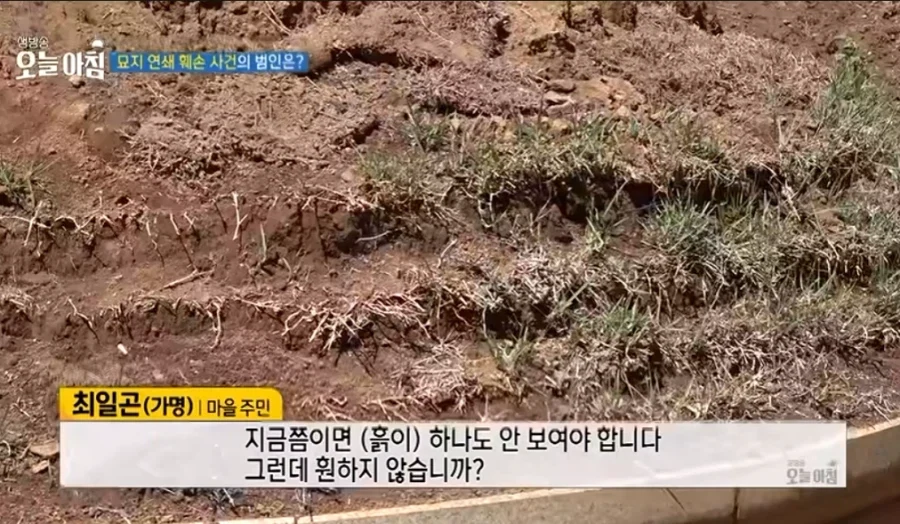 이야 진짜 한국이라서 안죽었네 범죄자 - 이미지 2