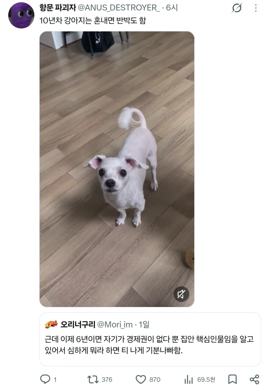 개를 오래 키워본 사람들의 증언