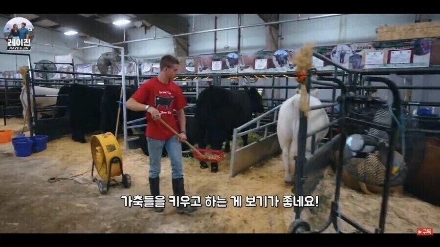 뭔가 혈통이 심히 의심스러운 아메리칸 - 이미지 5