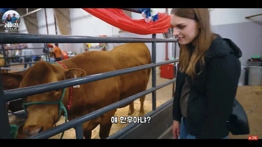 뭔가 혈통이 심히 의심스러운 아메리칸 - 이미지 7