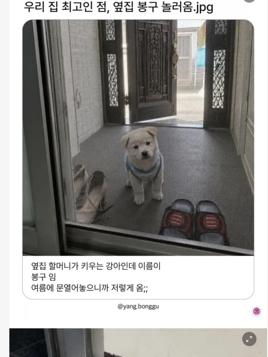 자기네 집이 최고인 이유