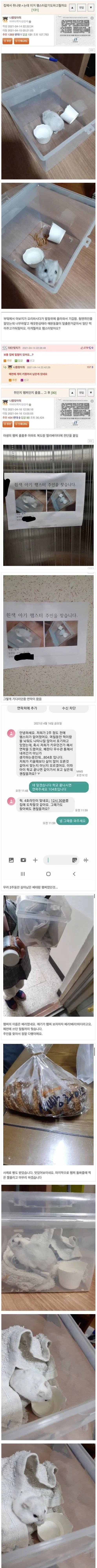 집에 출몰한 흰쥐의 정체.jpg