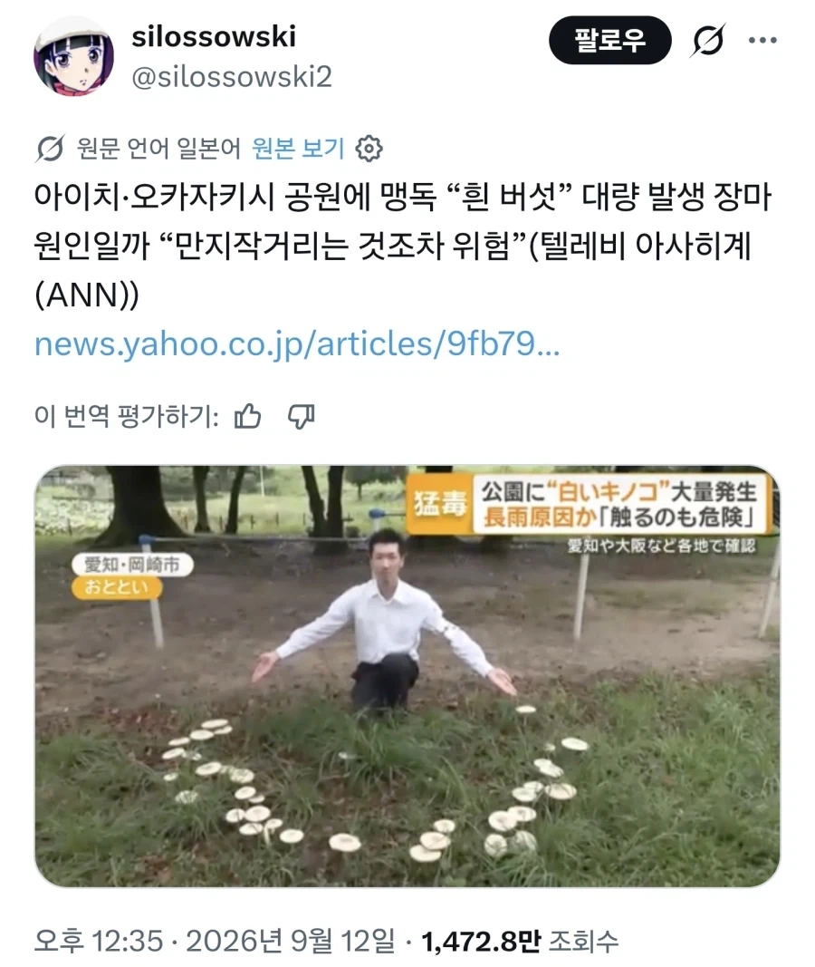독버섯이 이렇게 피었습니다 포즈가 밈이 되어버리고 말았다