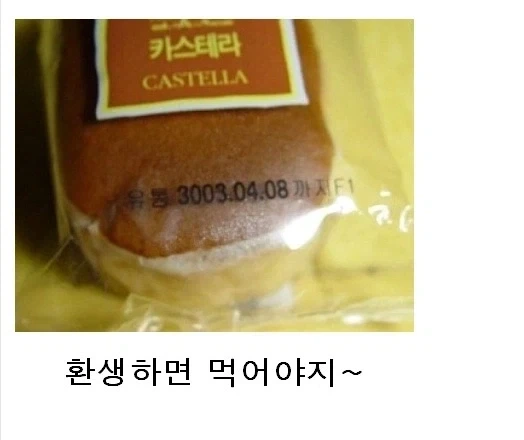 엄마, 환생하면 먹을 거니까, 빵 버리지마~!