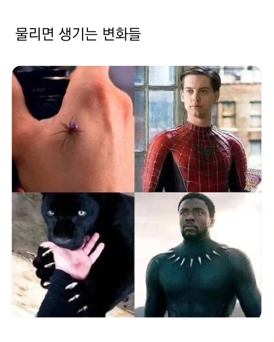 물리면 생기는 변화들