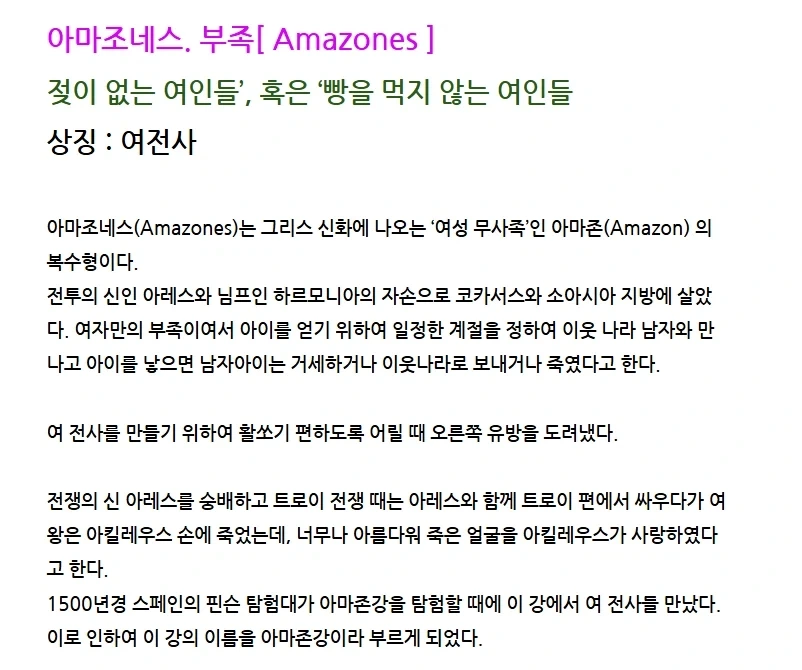 블리자드 아마존 남캐가 없는 이유 - 이미지 2