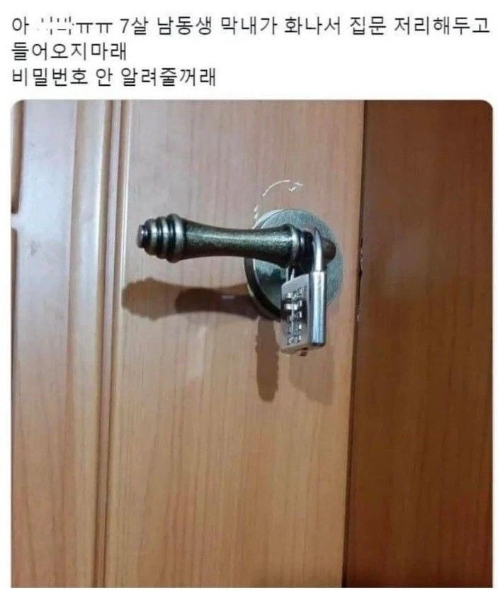 화나서 자물쇠로 문 잠근 7살 동생 jpg.