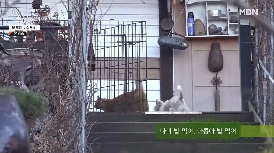나는 자연인이다 출연자중 요리 잘했었던 자연인 - 이미지 6