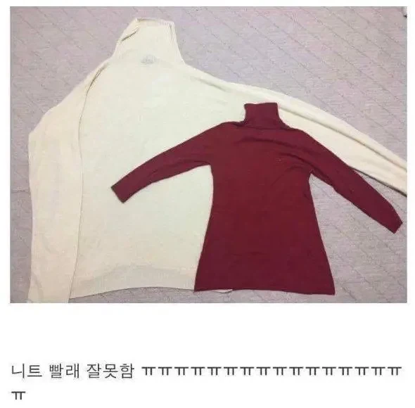니트 빨래 잘못함