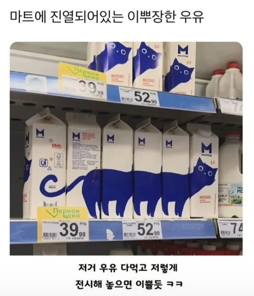 마트에 진열되어있는 이쁘장한 우유