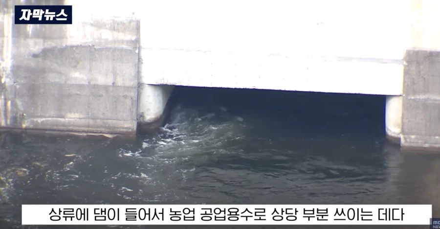 바다물이 올라오고 있다는 섬진강 하류 - 이미지 5