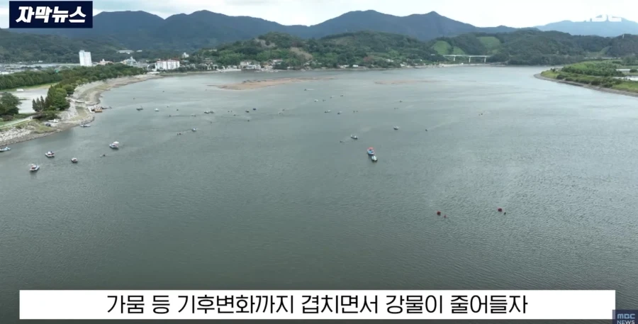 바다물이 올라오고 있다는 섬진강 하류 - 이미지 6