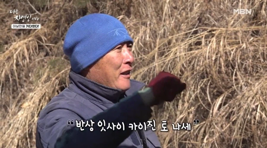블리치를 좋아하는 중년 자연인.jpg - 이미지 3