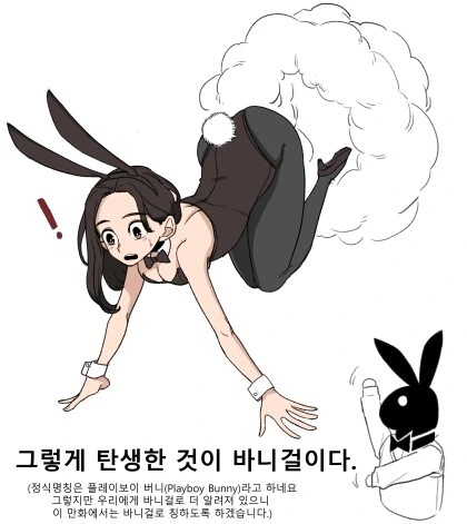 바니걸에 대해 알아보는 만화 - 이미지 3