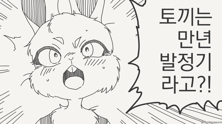 토끼가 상ㅅㅂ정기인걸 몰랐던 만화