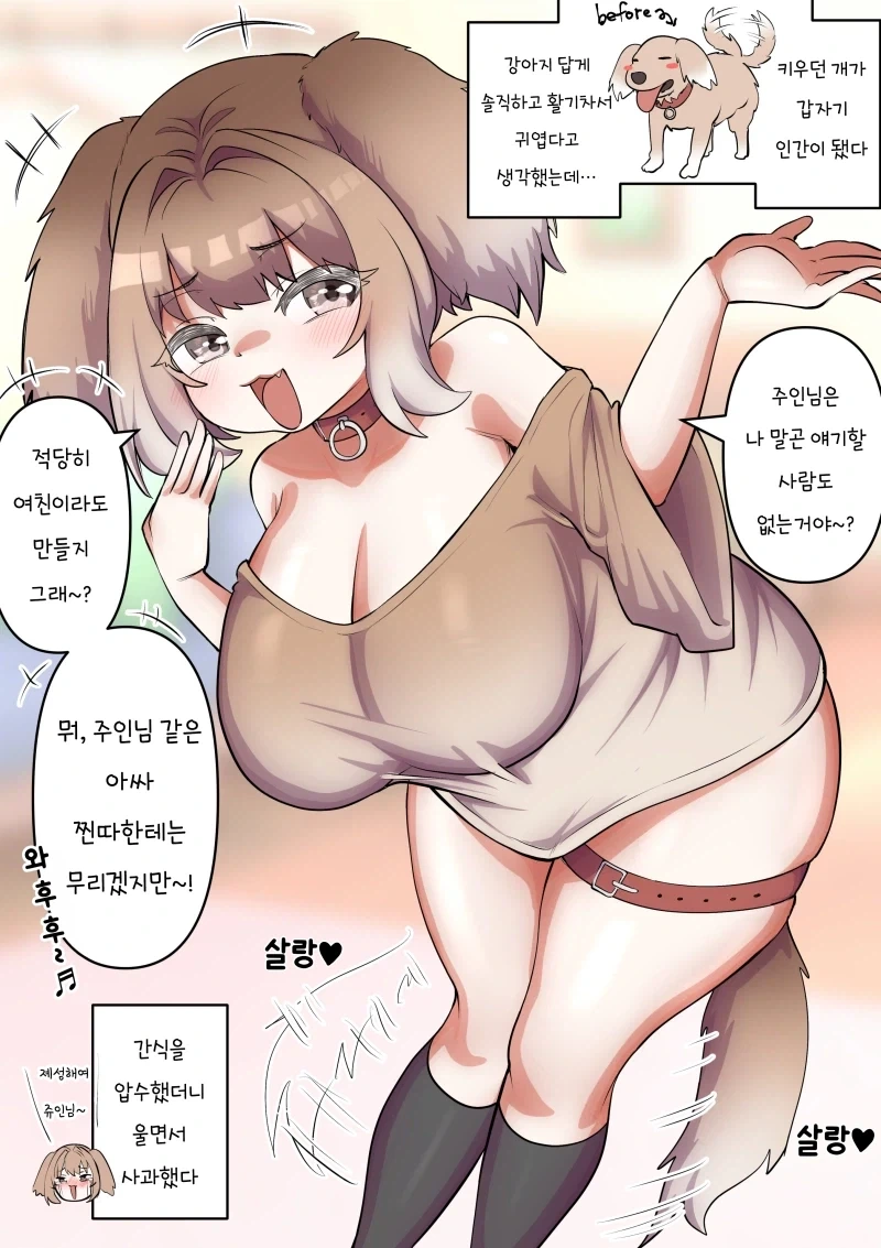 키우던 개가 ㅁㅅㄱㅋ가 되었다.manhwa