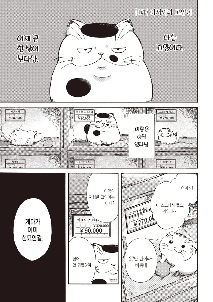 아저씨와 고양이.manhwa