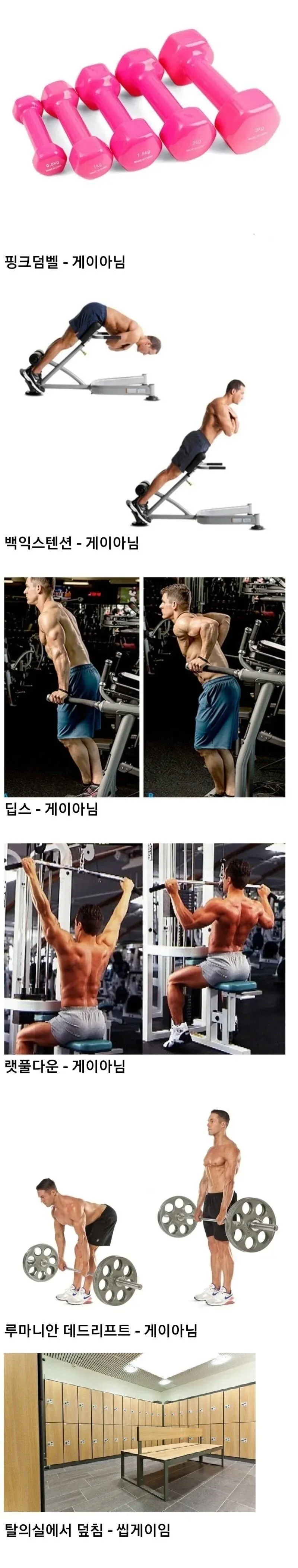 헬스장 게이 구별하는 법