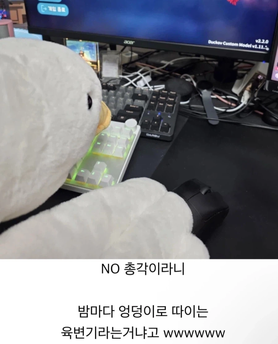 전 노총각입니다.