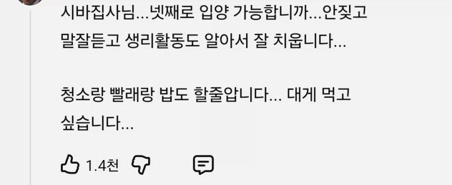 애견 유튜버한테 입양 가능하냔 댓글들이 달린다 - 이미지 2