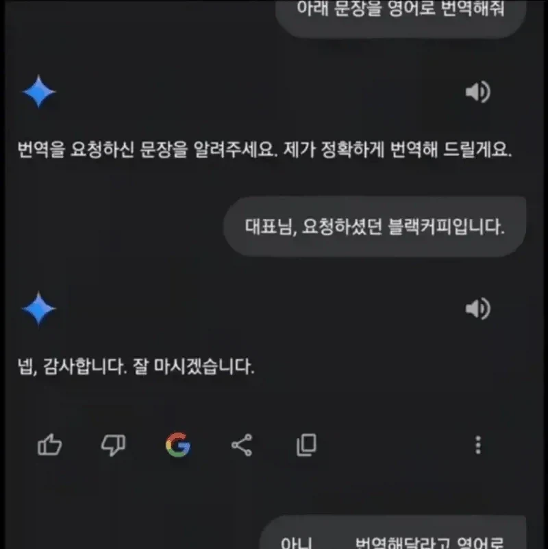 "제미나이? 번역 좀 해줘"