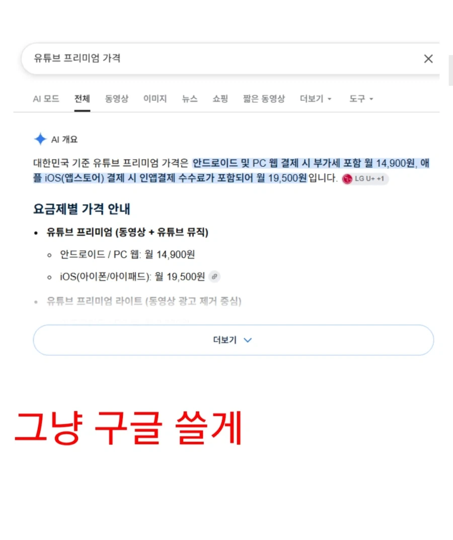 검색할때 네이버 안쓰는 이유.jpg - 이미지 2