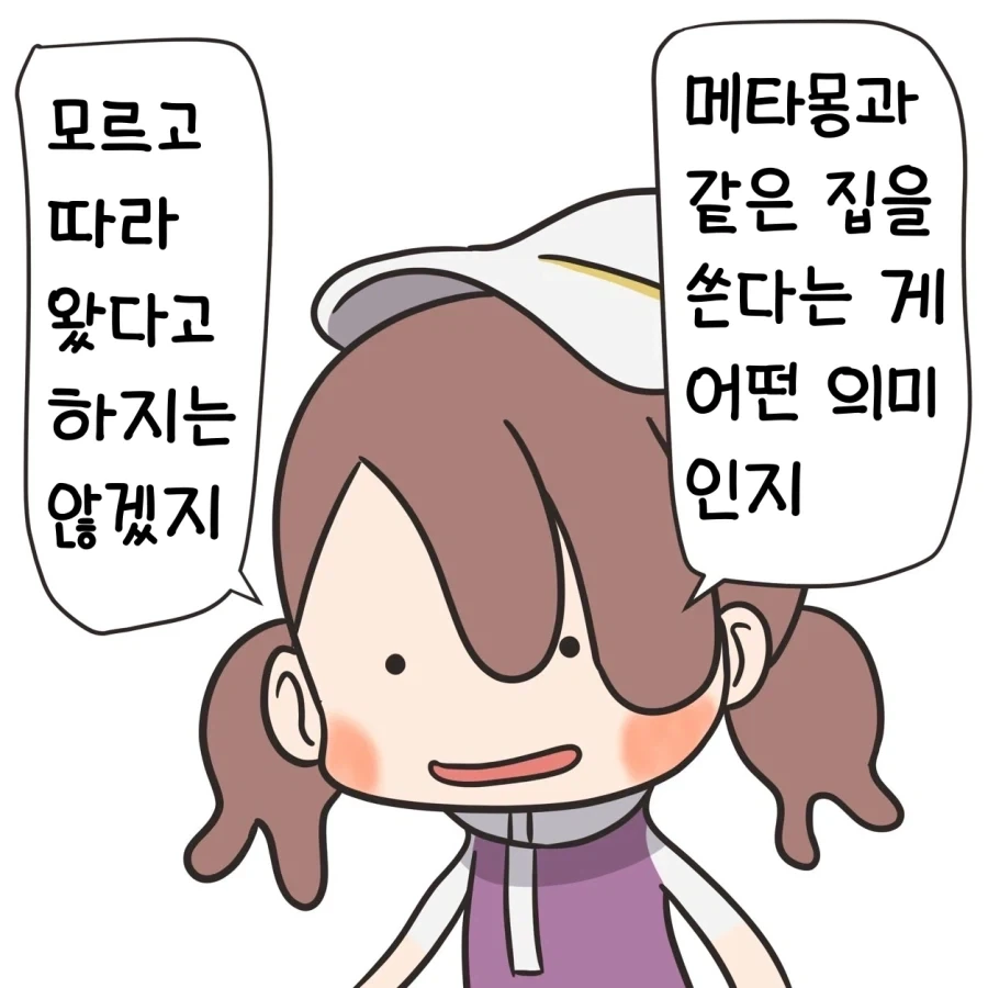 메타몽과 같은 집을 쓴다는 의미 - 이미지 2