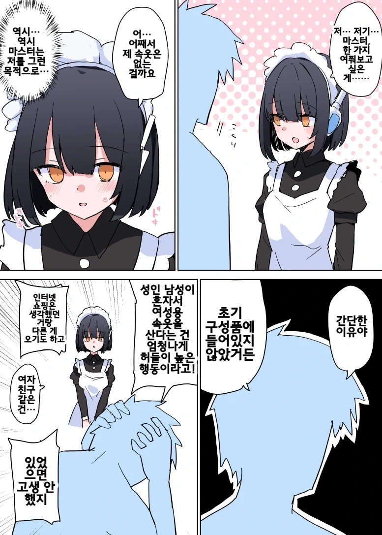 주인이 메이드 로봇에게 속옷을 주지 않은 이유