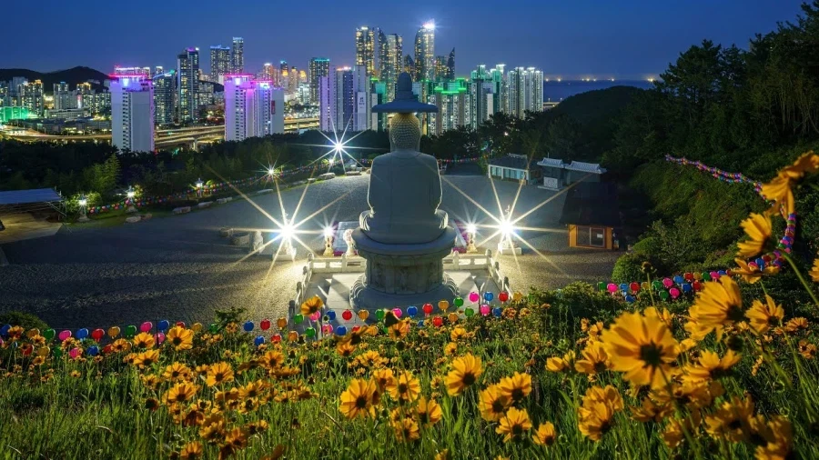 지극히 한국적인 야경을 보여주는 곳들.jpg - 이미지 3