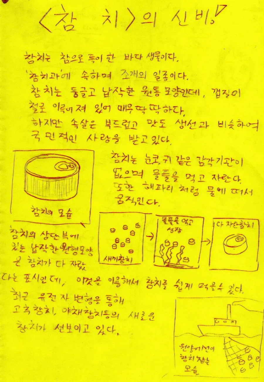 참치의 제조 과정 - 이미지 2
