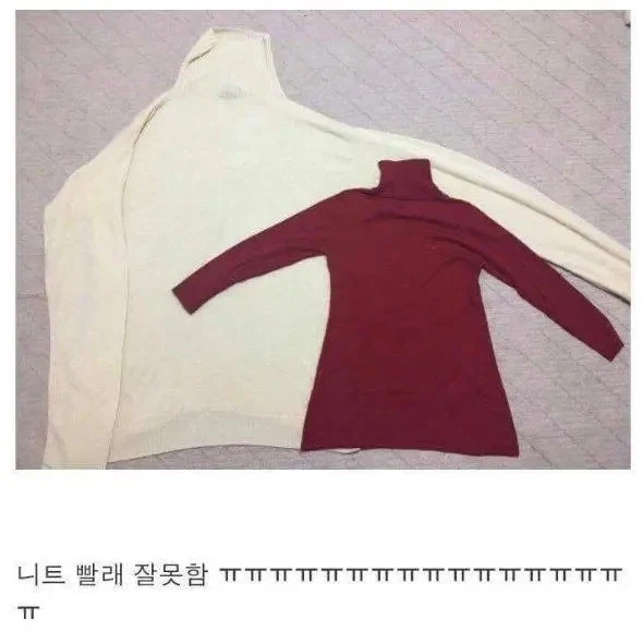 니트 빨래 잘못함