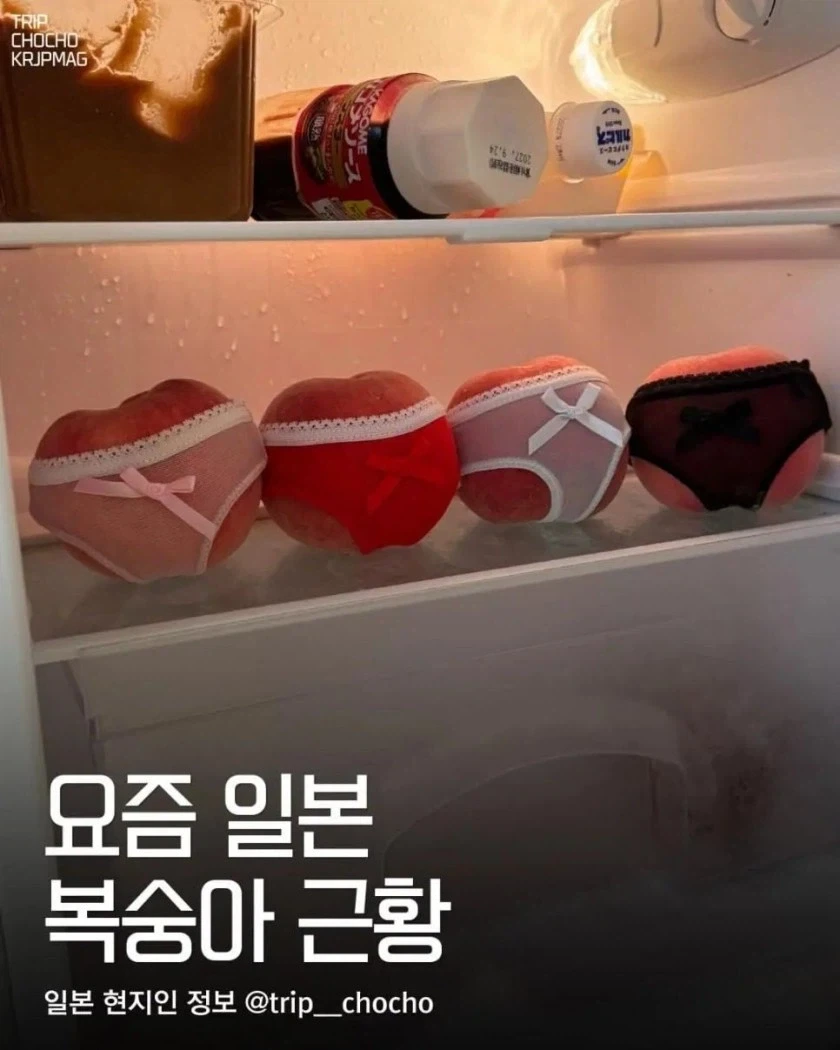 귀엽다고 난리난 일본 복숭아 포장법