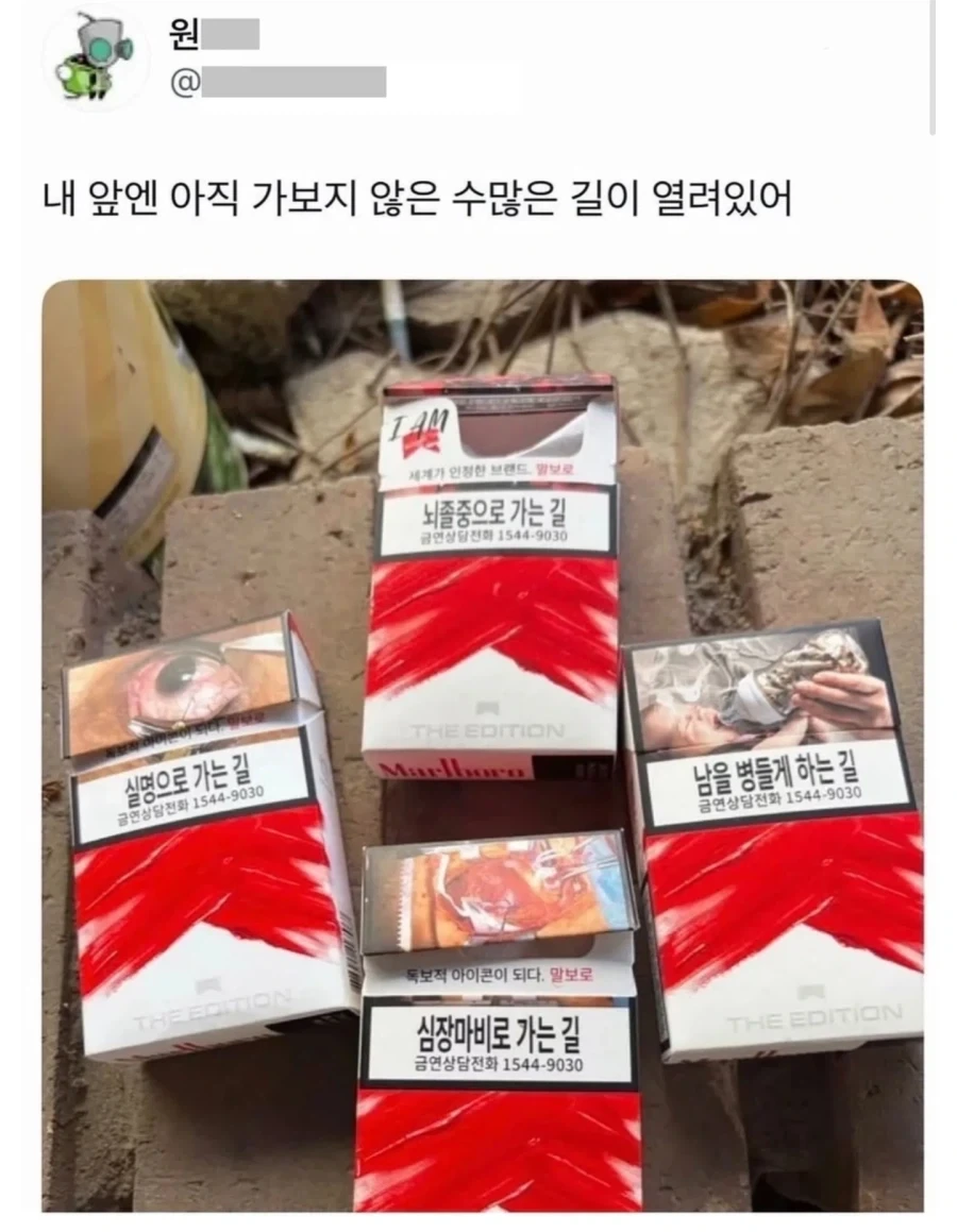 꼴초의 미래
