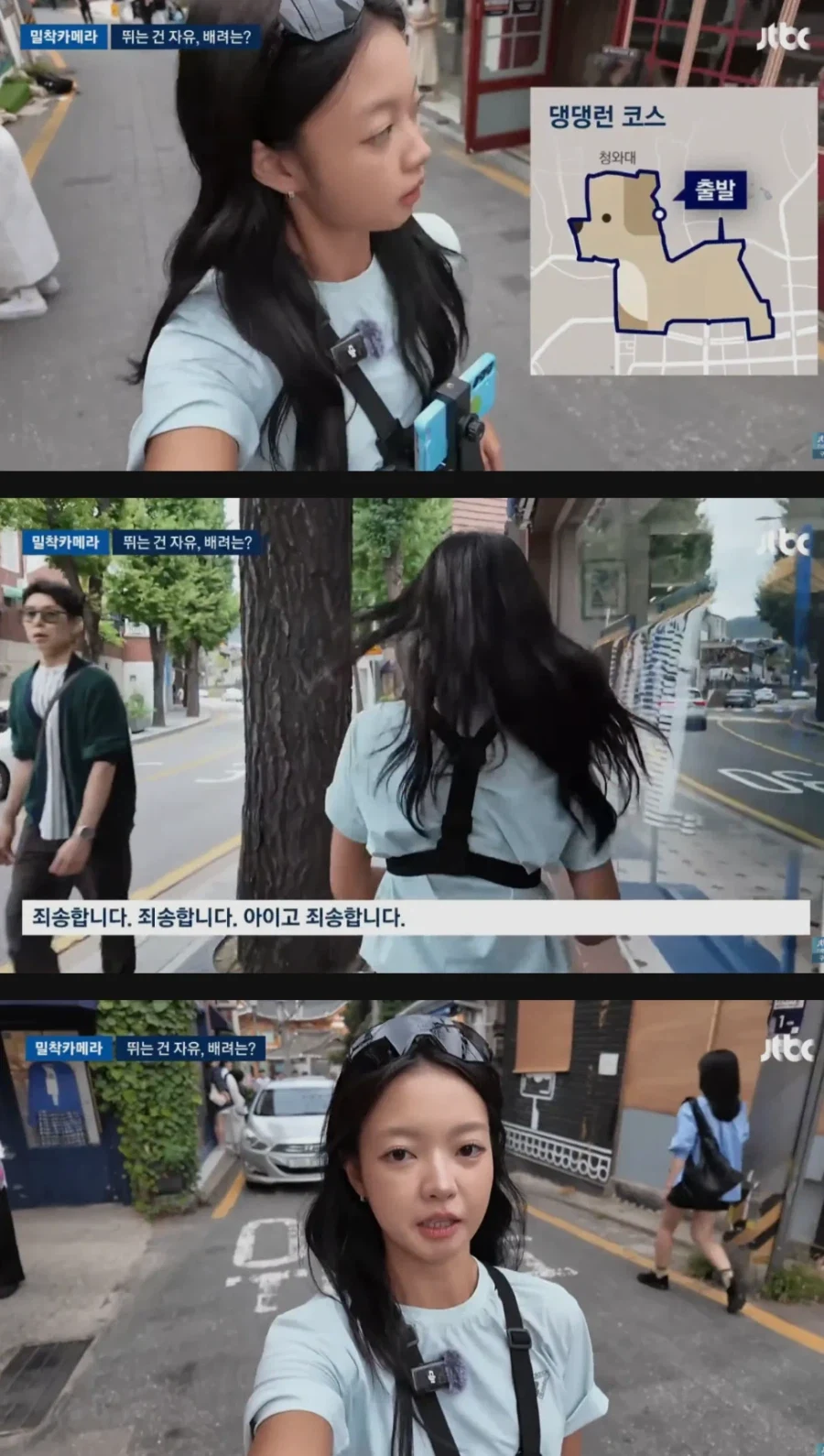 댕댕런 민폐러너들 때문에 몸살이라는 경복궁 - 이미지 3