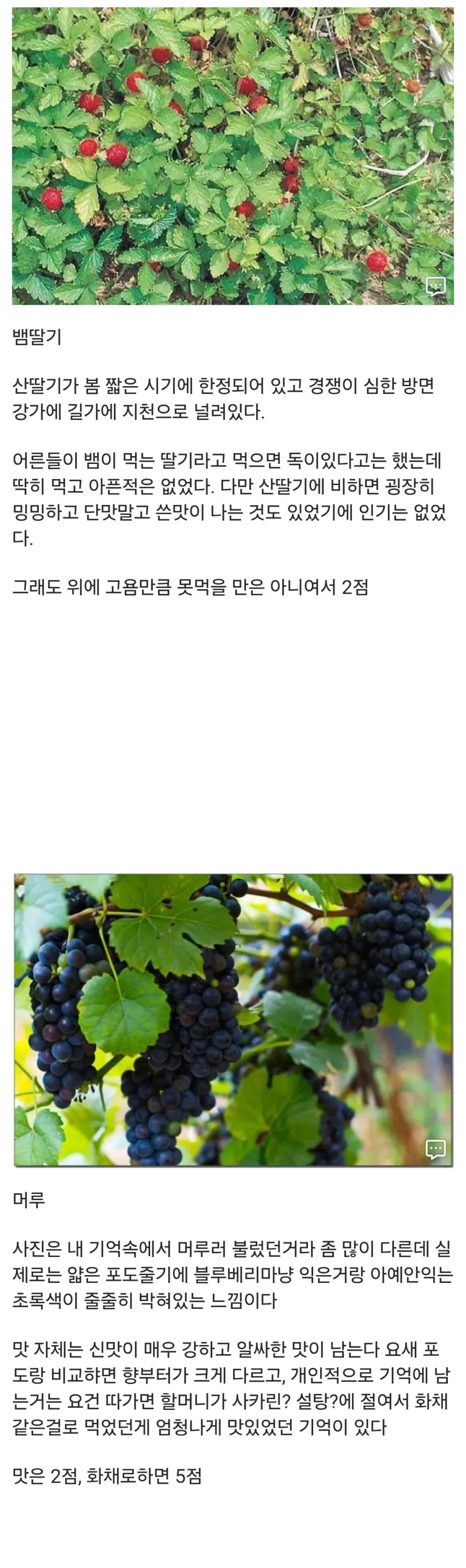 20대 디씨인이 어렸을때 먹던 간식들 - 이미지 2