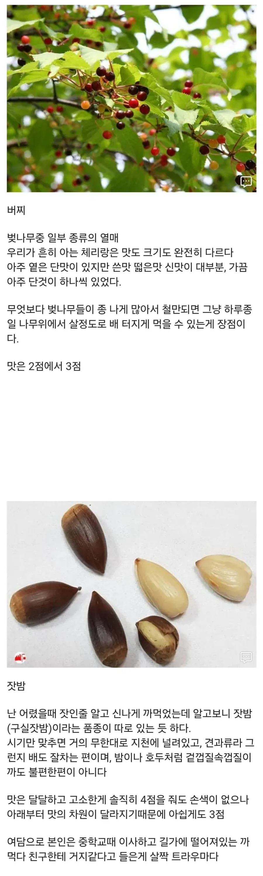 20대 디씨인이 어렸을때 먹던 간식들 - 이미지 3