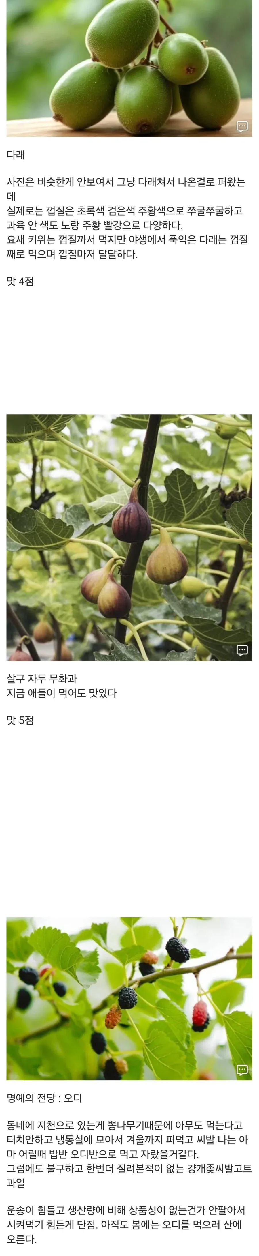 20대 디씨인이 어렸을때 먹던 간식들 - 이미지 5