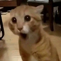 어떤 디씨인의 조그마한 페티쉬 - 이미지 2