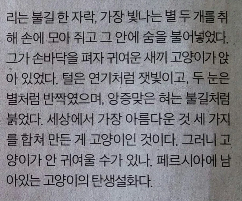 페르시안 고양이 탄생 설화.jpg - 이미지 2