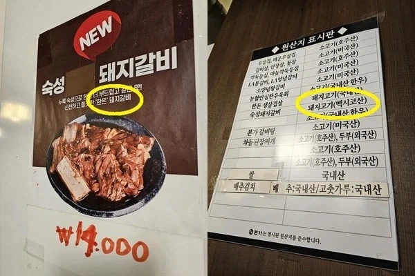 더본의 있어야하는게 없고 없어야할게 있는 것들 - 이미지 5