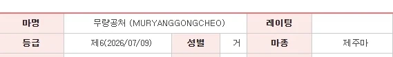 흔하지않은 말의 이름